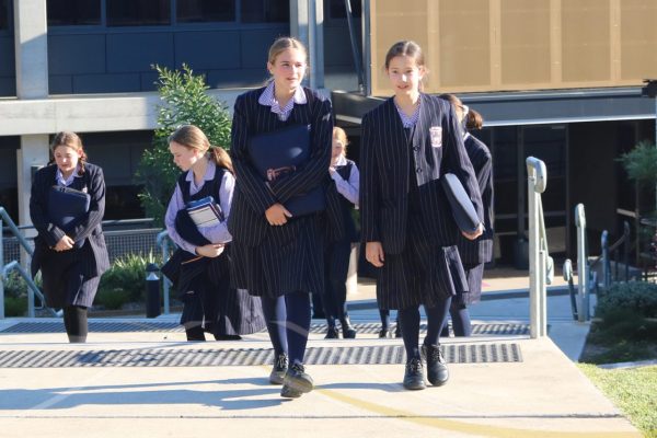 Website banners 5-20 cover