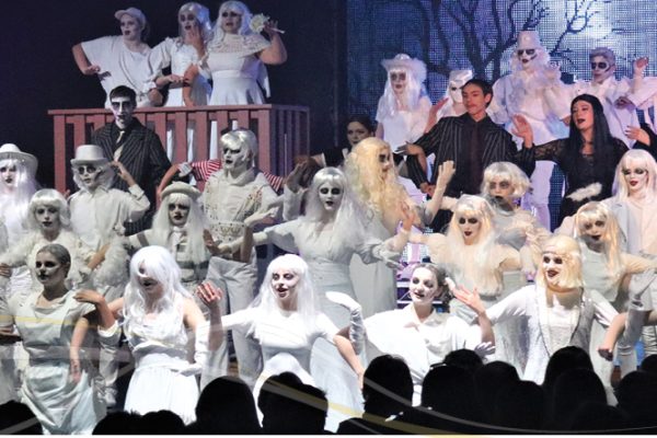 Website banner - Addams 2023