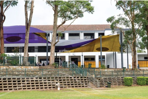 Website banners AH 2-24