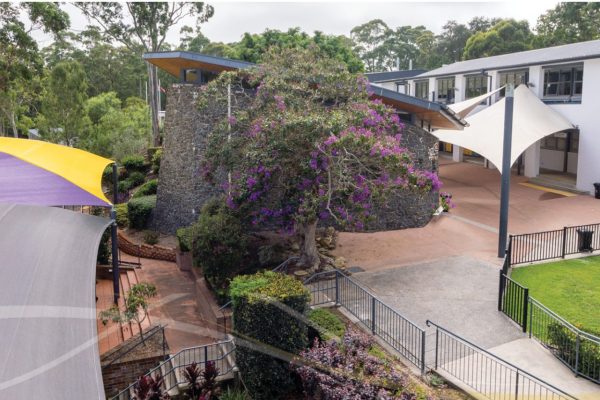 Website banners TH 2-24