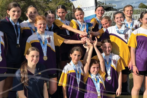 Website banners 7-25 11