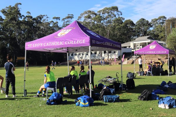 Oval Sport 1 - Copy - Copy