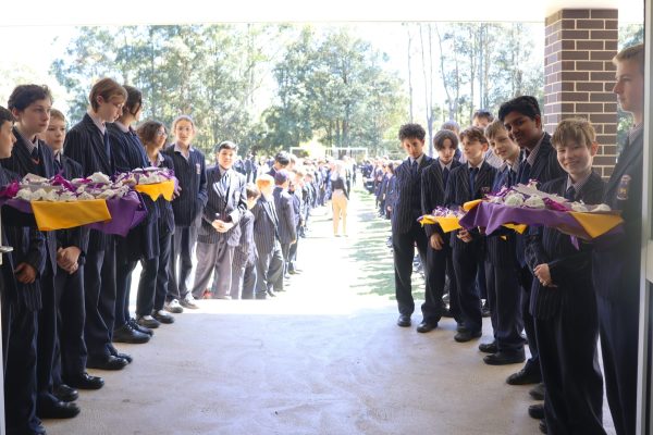 clap out 2 - Copy - Copy